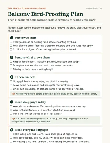 First page of The Balcony Bird-Proofing Plan