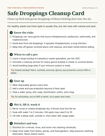 First page of The Safe Droppings Cleanup Card