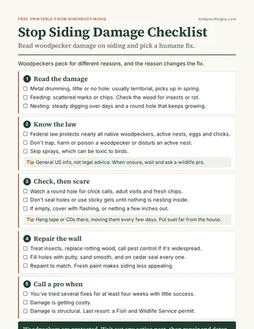 First page of The Stop Siding Damage Checklist