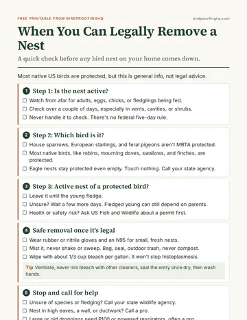 First page of When You Can Legally Remove a Nest
