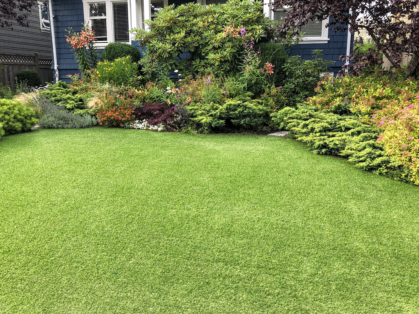 A clean, well-kept yard that discourages vultures