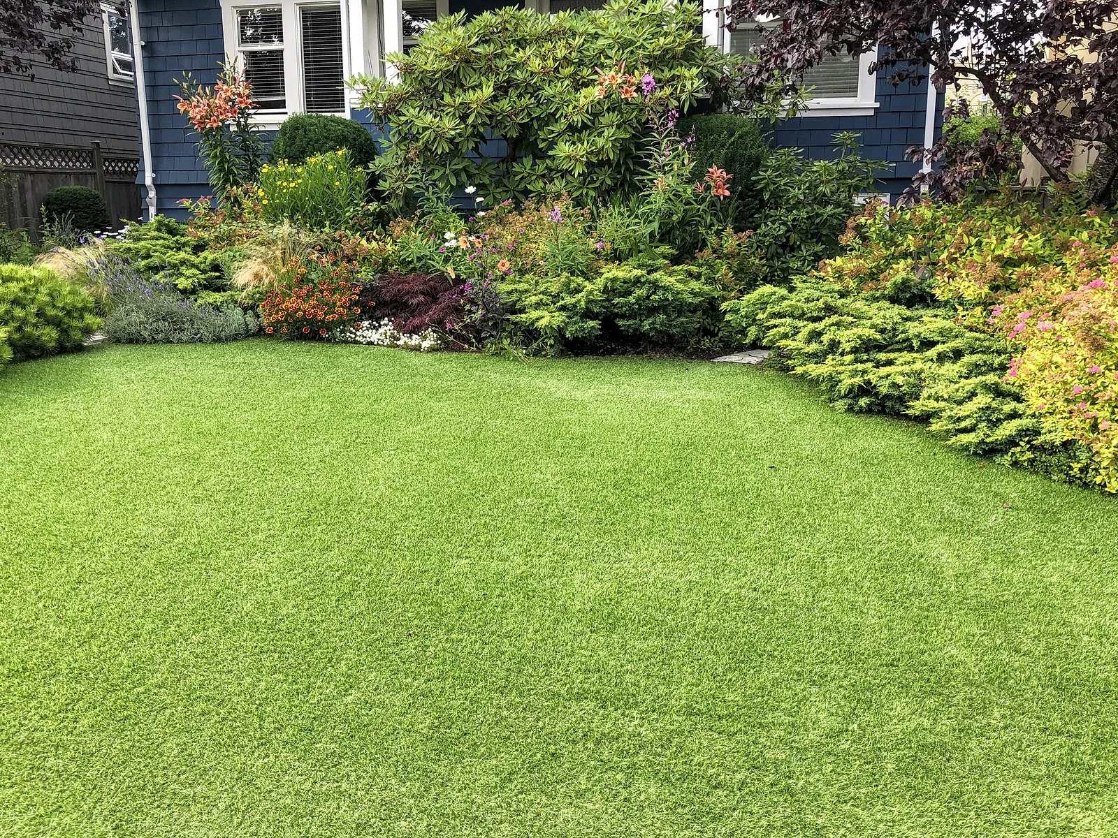 A beautiful lawn in the front yard