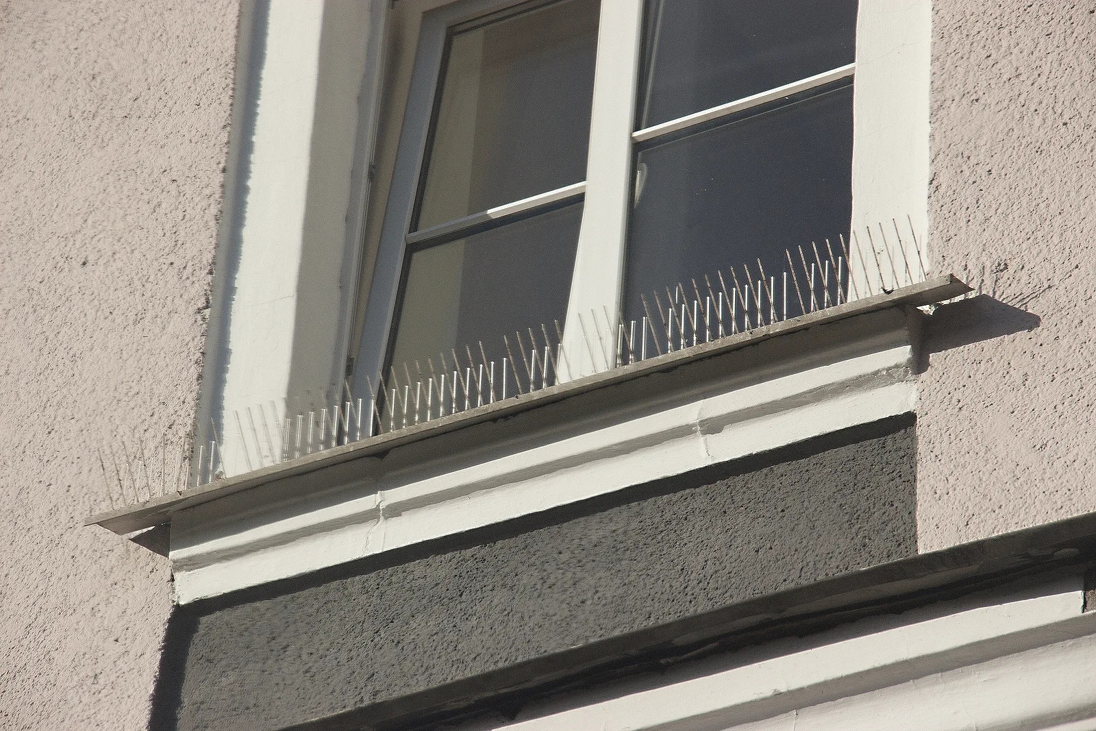Bird spikes installed on the ledge below a window, the fix when birds keep fouling the glass from one perch