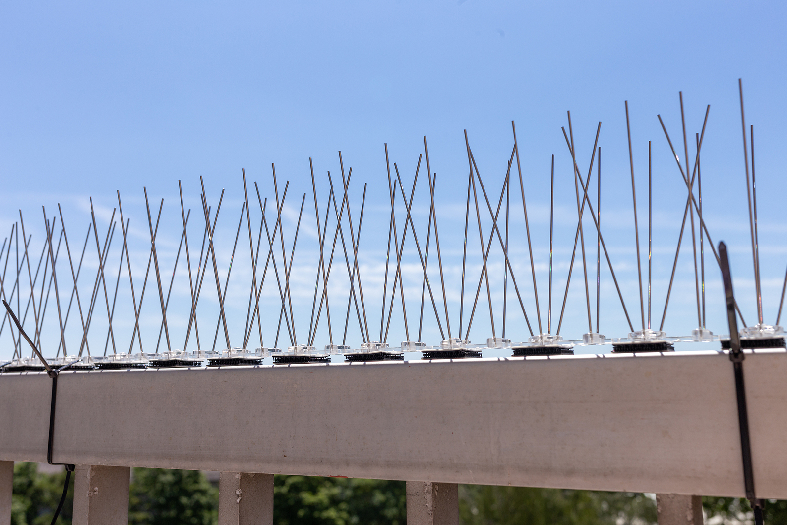 Bird spikes installed to block roosting