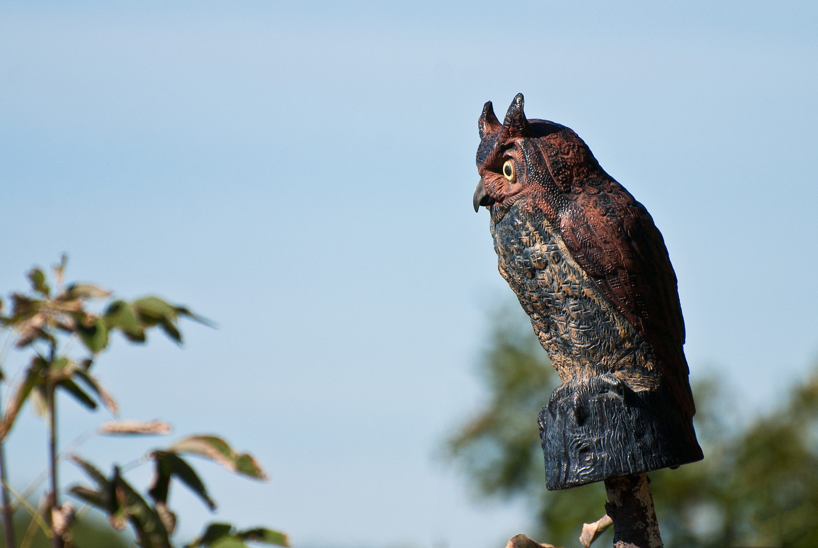 How to Keep Birds Away: Maintain a Pest-Free Porch