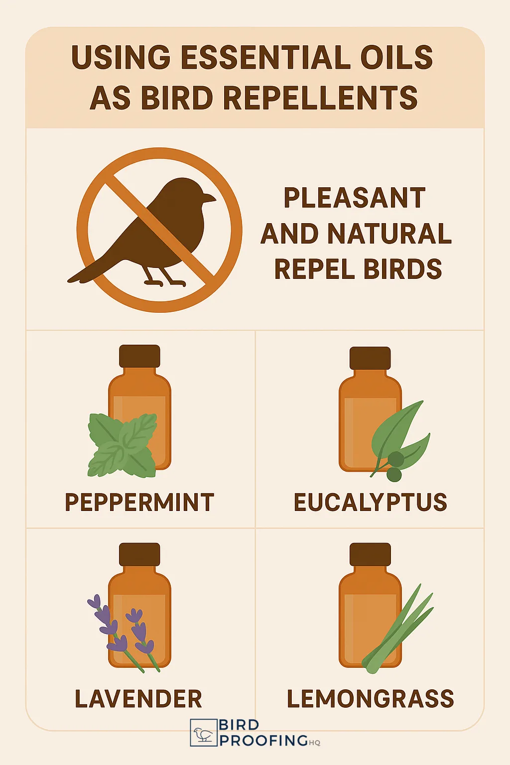 Infographic showing four essential oils that repel birds: peppermint, eucalyptus, lavender, and lemongrass