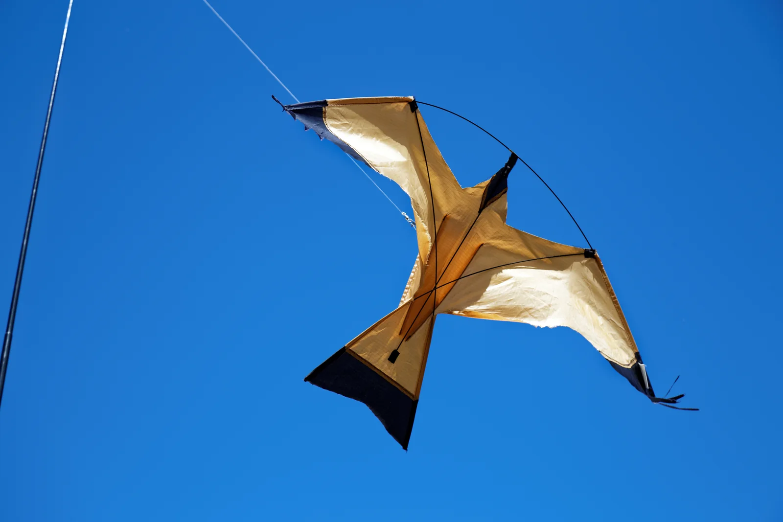 A hawk-shaped kite used as a bird scare