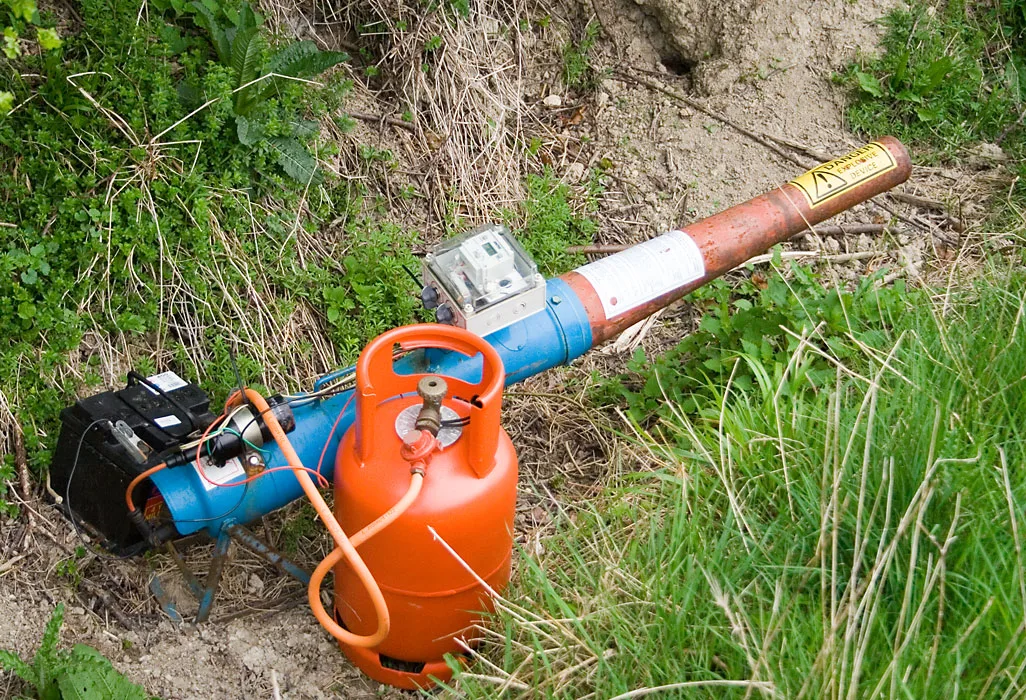 Bird Deterrent Sound Frequencies: What the Evidence Supports