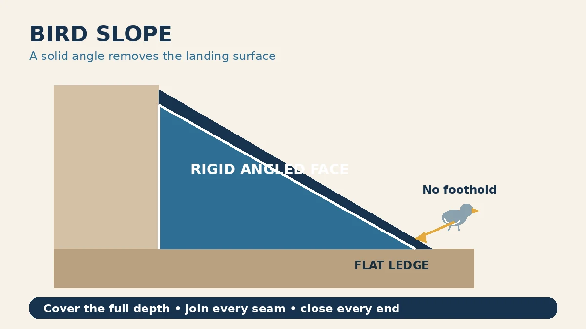 Cross-section of bird slope covering a flat building ledge with a continuous angled face