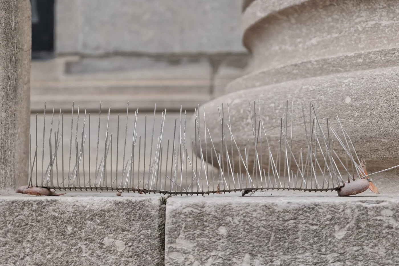 Bird control spikes installed on a stone ledge, showing the full-coverage installation a written quote should include