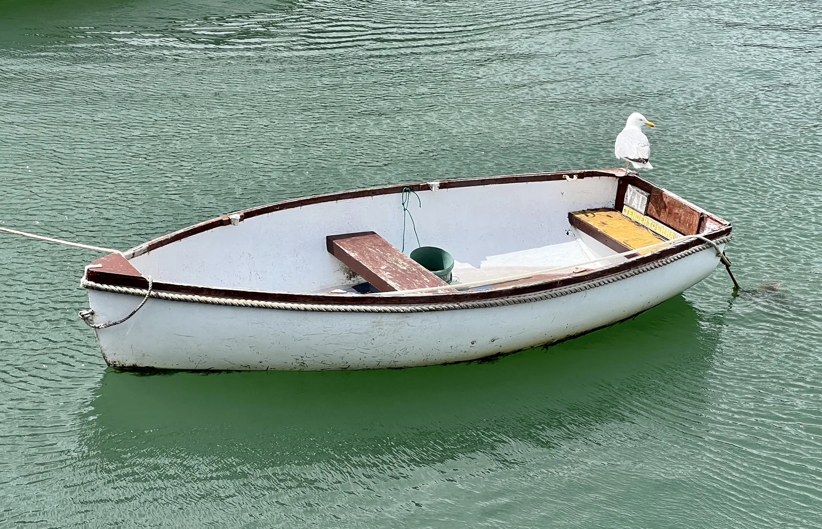 A gull perched on the side of a boat in the water