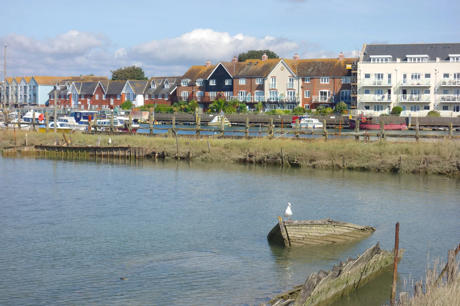 A gull standing on the hull of an old, unused boat