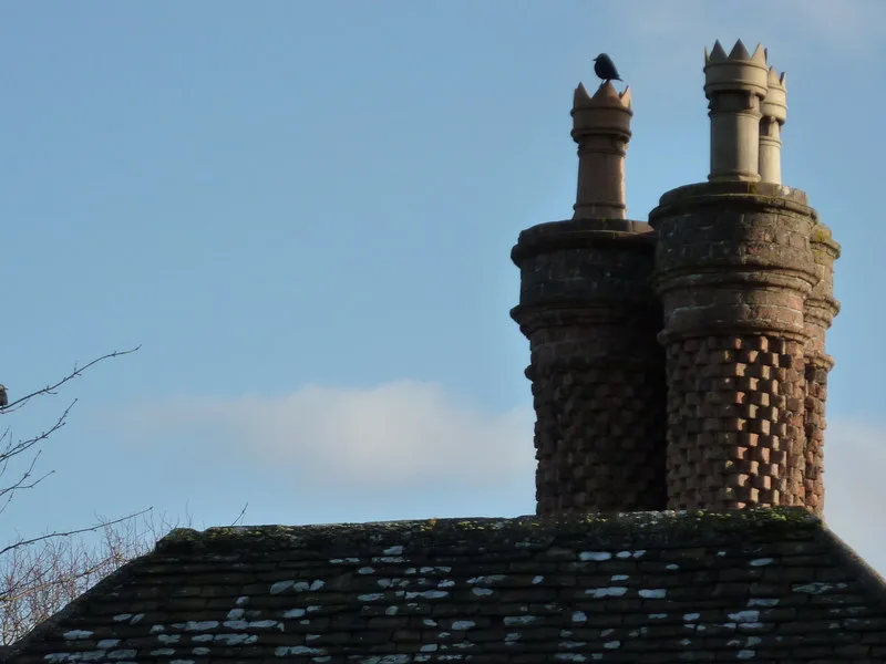 A rooftop with chimney pots and a bird perched on the ridge