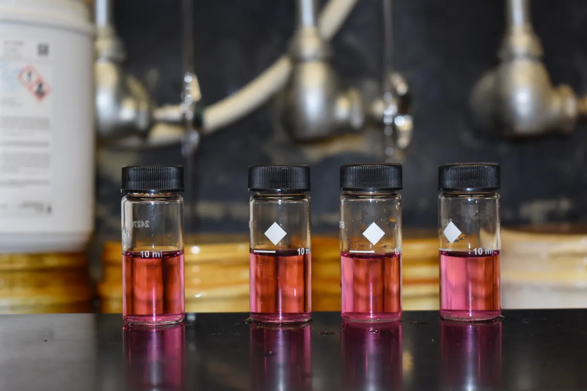 Four water sample vials turned pink after a free chlorine test reagent was added