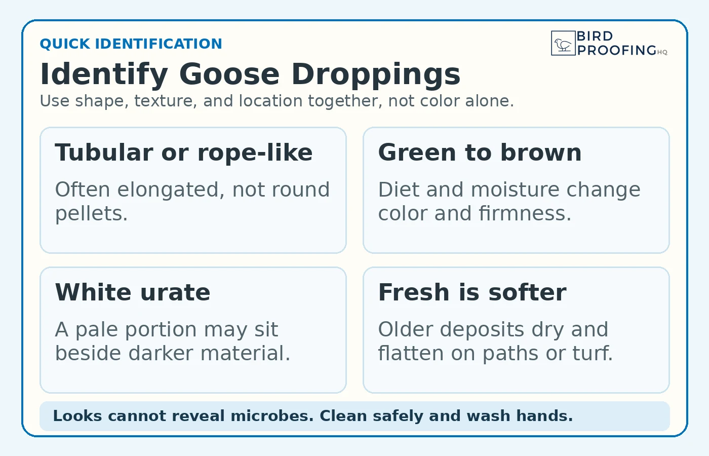Typical shape, color, texture, and white urate features of goose droppings
