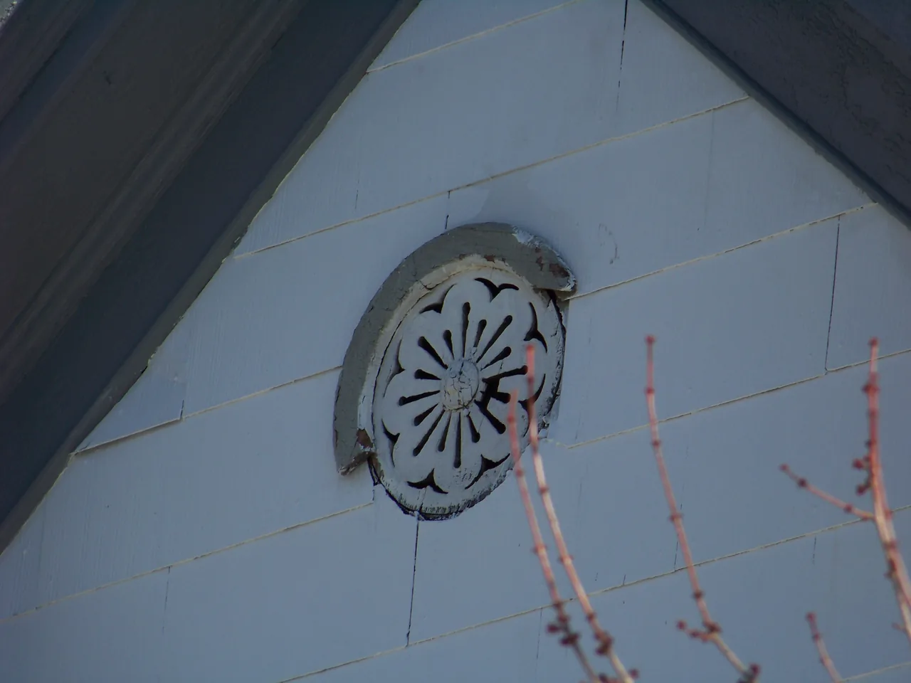 How to Keep Birds Out of Vents (Fire-Hazard Fix)