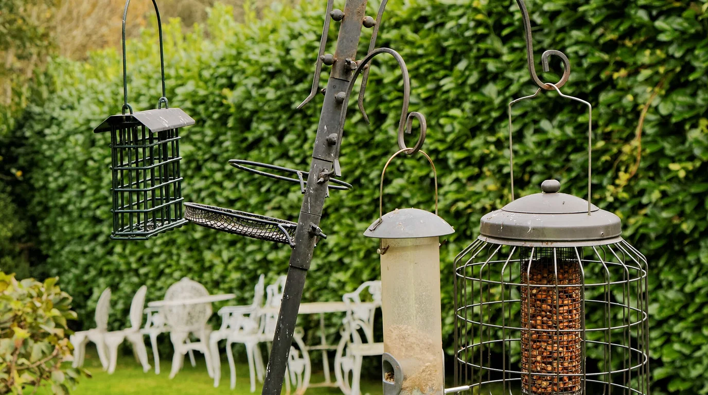 Several enclosed and narrow-access bird feeders in a garden