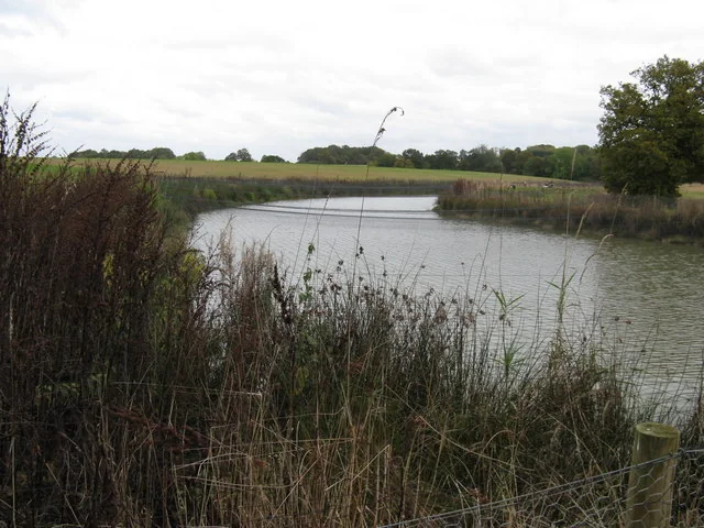 Fine protective netting suspended from tall support poles across a large fishing pond