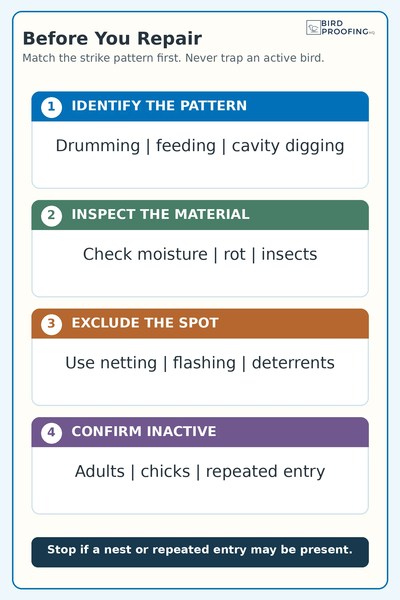 Four checks to make before repairing a woodpecker strike site on a house